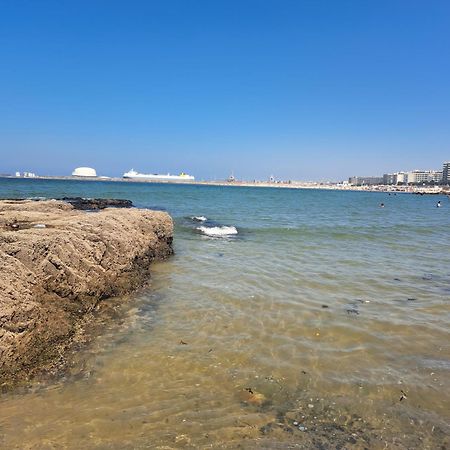 Matosinhos Relax And Fun By Portoproperties4You المظهر الخارجي الصورة